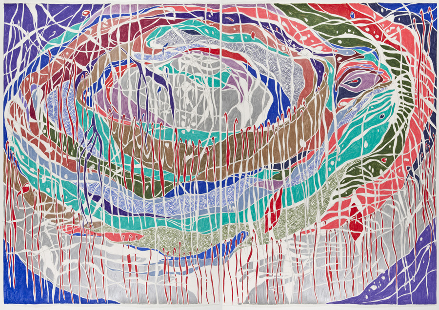 O Canibal, 2012 Grafite e lápis de cor sobre papel (Graphite and colored pencil on paper) 140 x 200 cm Foto (Photo): Ding Musa
