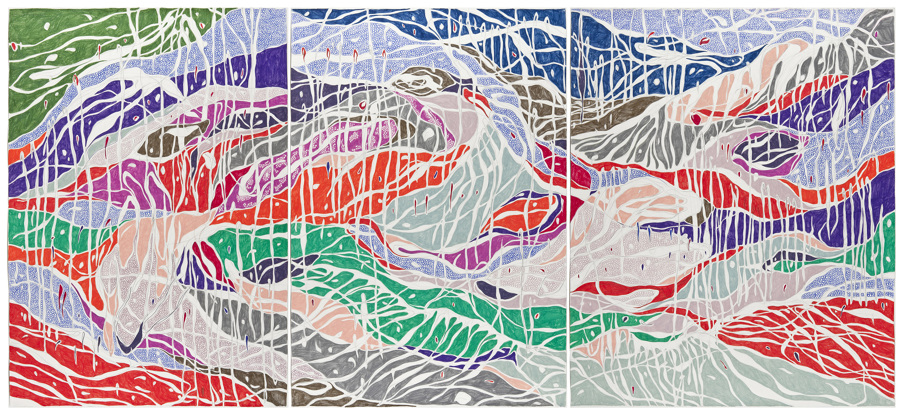 O Expansivo, 2013 Grafite e lápis de cor sobre papel (Graphite and colored pencil on paper) 140 x 315 cm Foto (Photo): Ding Musa