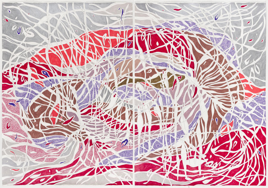 O Suculento, 2013 Grafite e lápis de cor sobre papel (Graphite and colored pencil on paper) 140 x 205 cm Foto (photo): Ding Musa